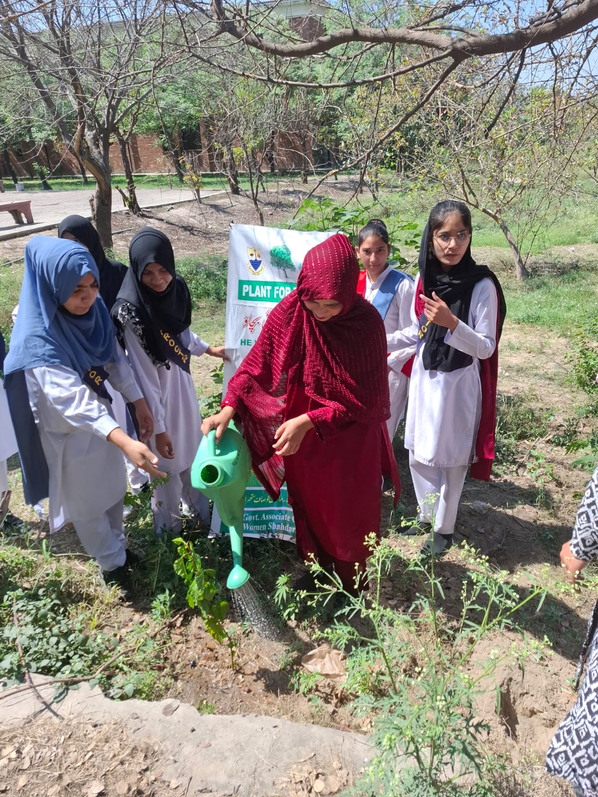 tree Plantation Compaign 